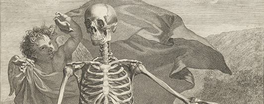Detail from an anatomical engraving